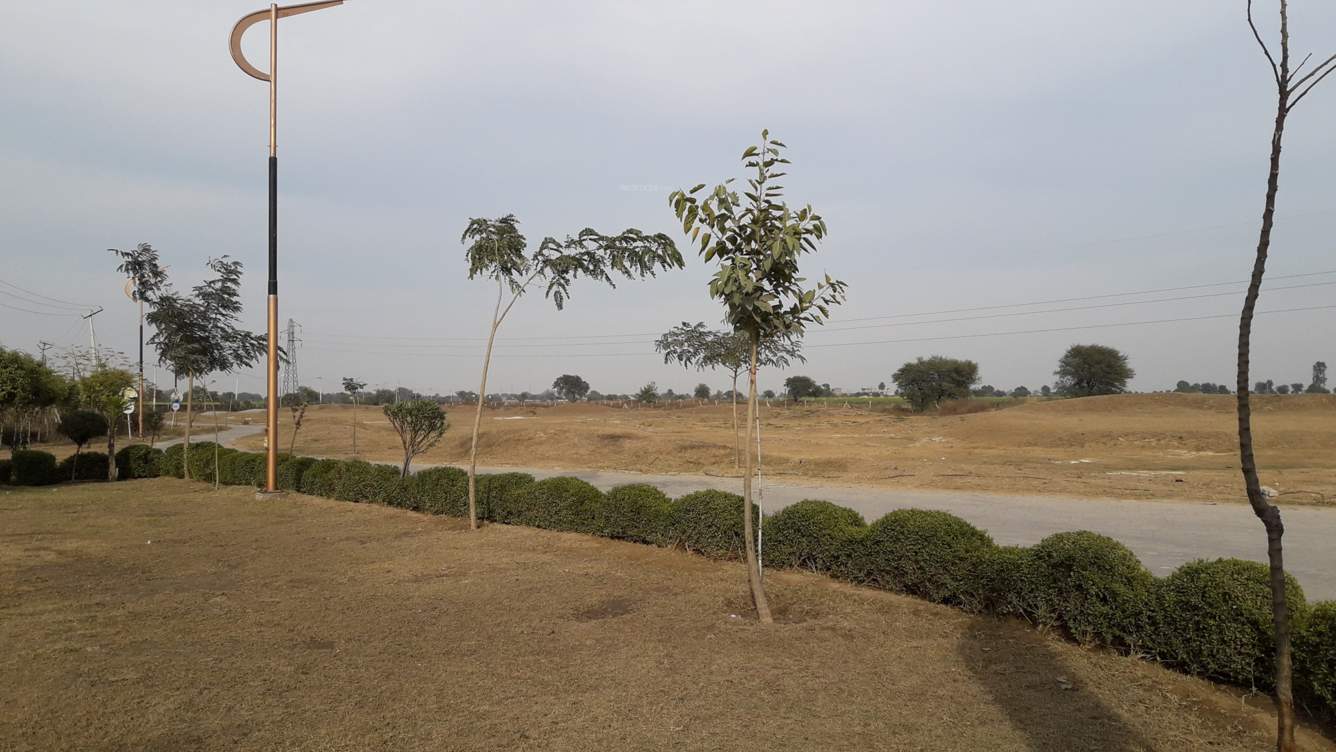 Images for mainOther