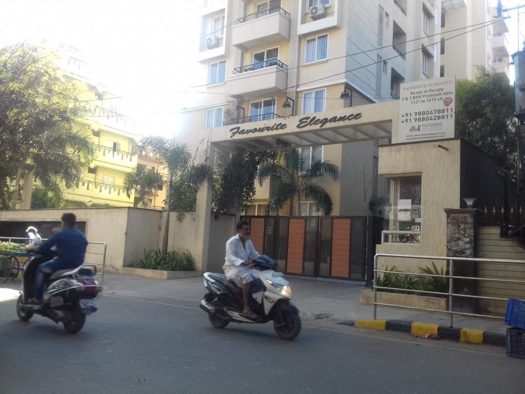  elegance Images for Project