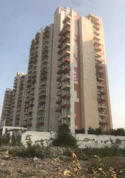 Images for Project greens Images for Project