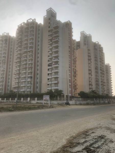 Images for Project greens Images for Project