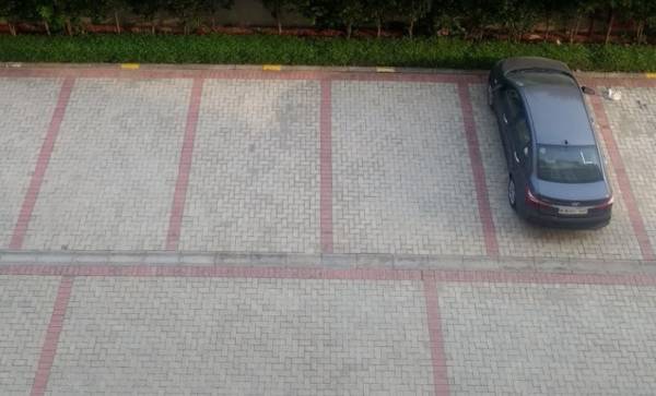 Car Parking greens Car Parking