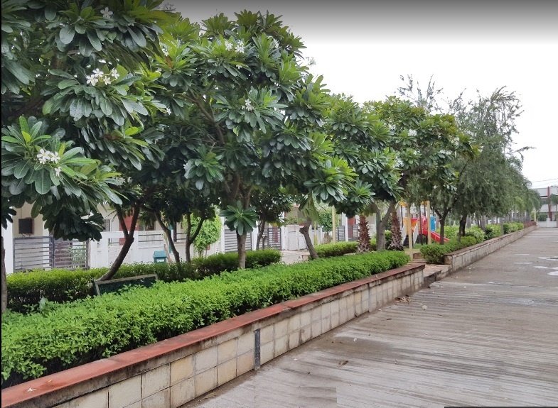  tulip greens Paved Compound