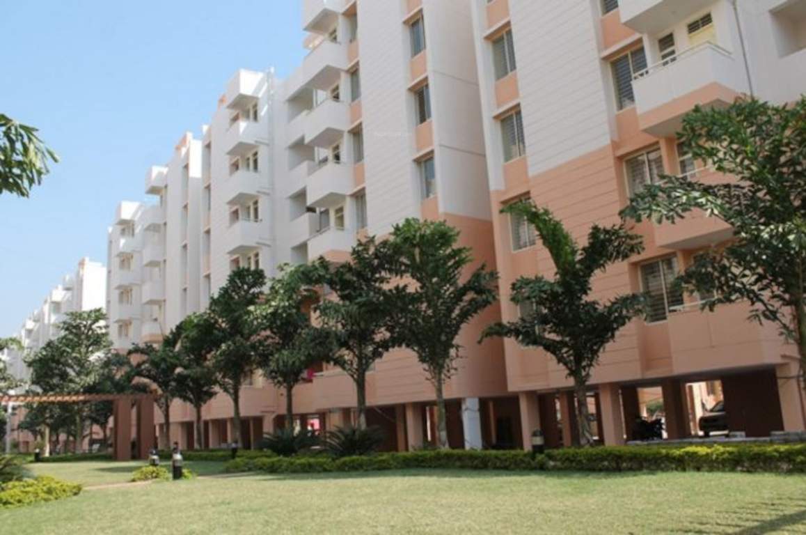  parklands Landscape Garden and Tree Planting