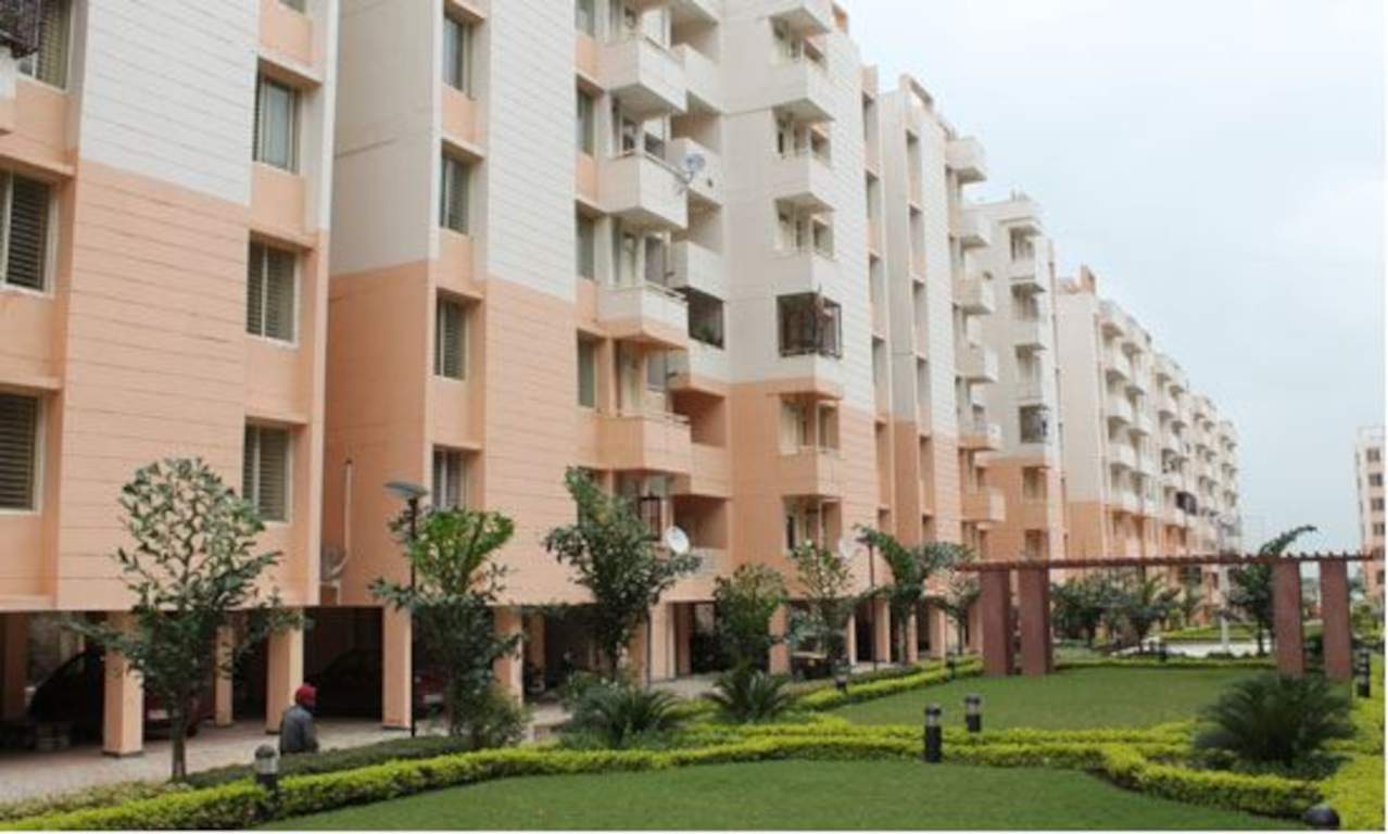  parklands Landscape Garden and Tree Planting