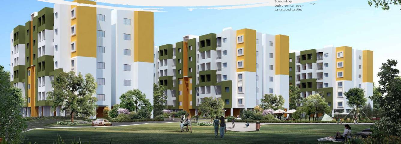 Images for Elevation of Soumya Evergreen