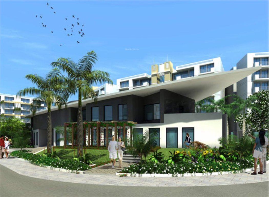 Images for Elevation of Globus Coral Woods