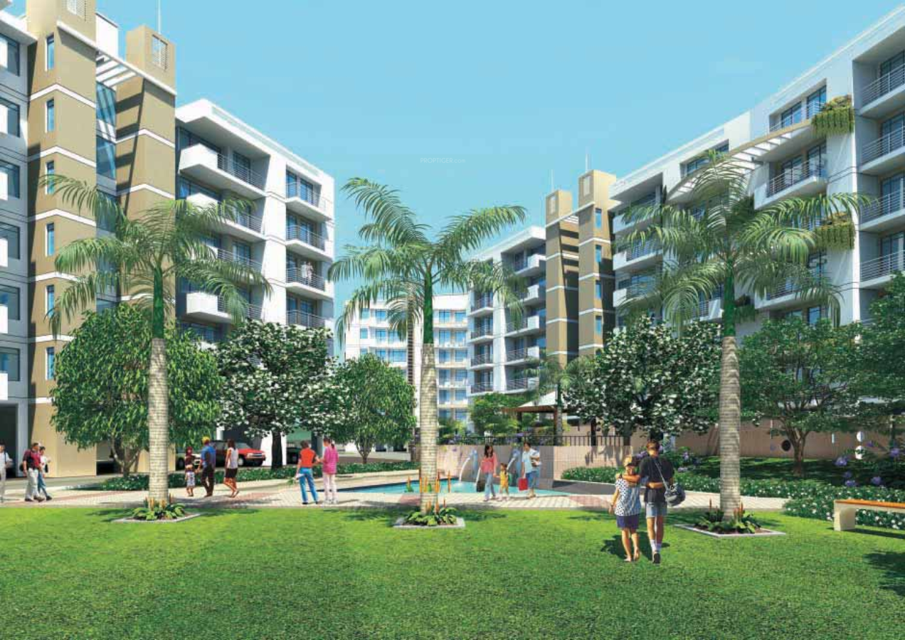 Images for Elevation of Globus Coral Woods