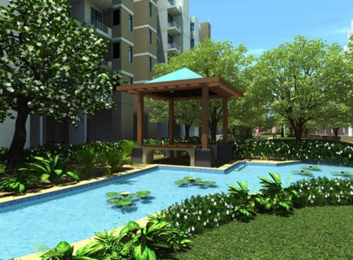Images for Amenities of Globus Coral Woods