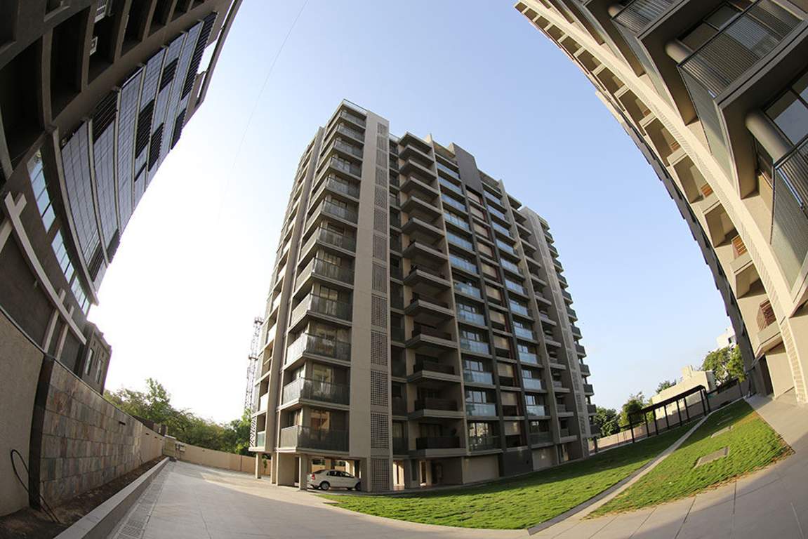 ivy Images for Elevation of Venus Venus Ivy