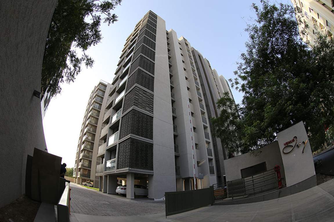 ivy Images for Elevation of Venus Venus Ivy