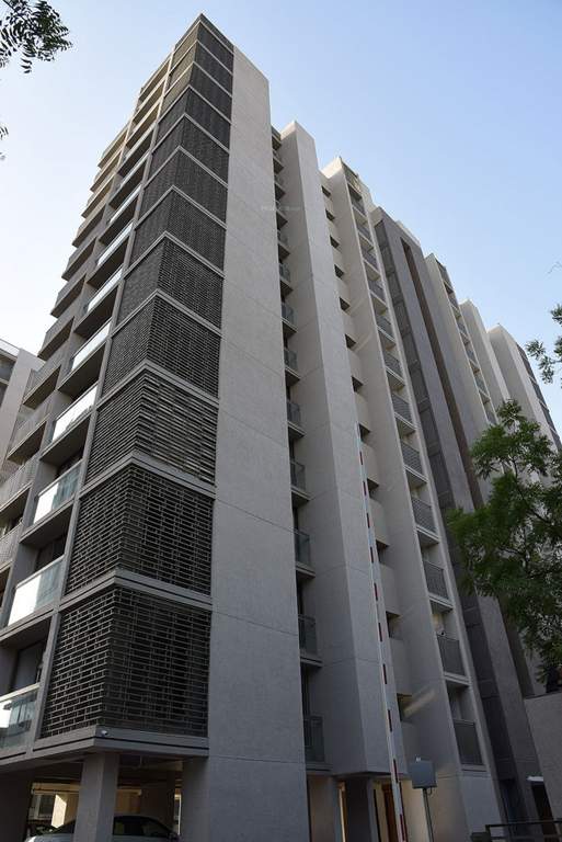 ivy Images for Elevation of Venus Venus Ivy