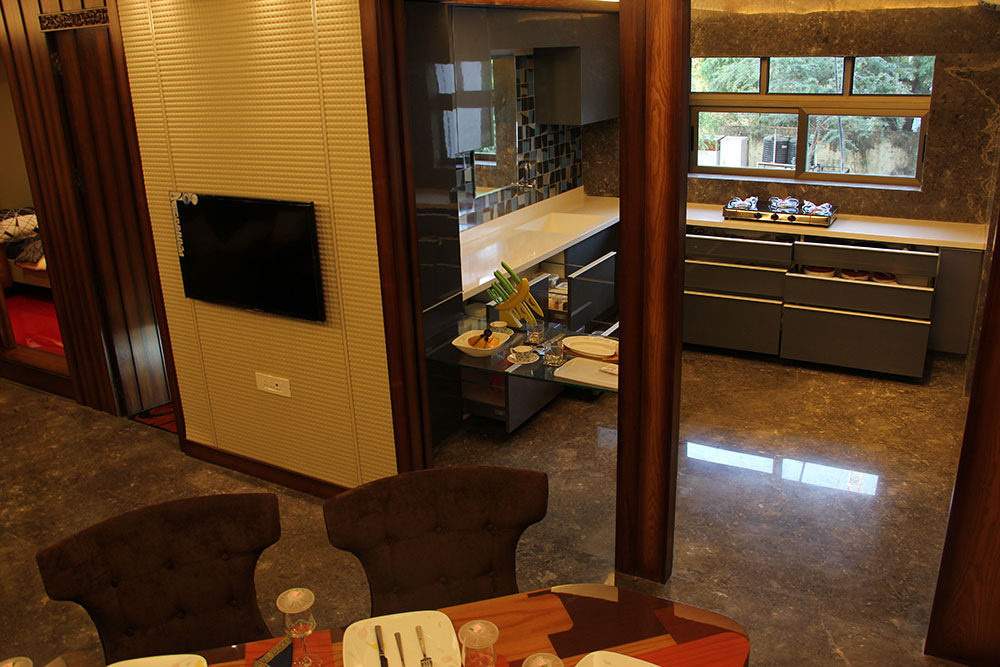 ivy Images for Main Other of Venus Venus Ivy