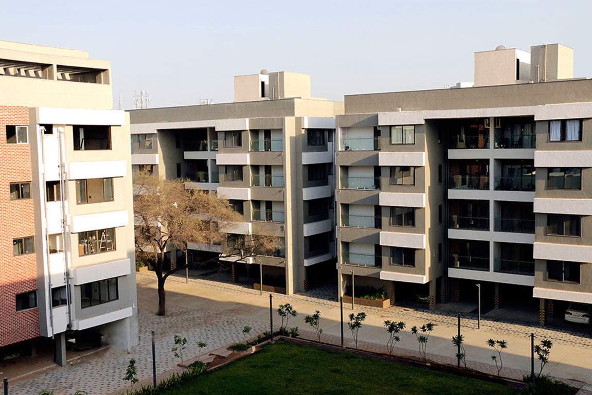 pahel Images for Elevation of Venus Venus Pahel