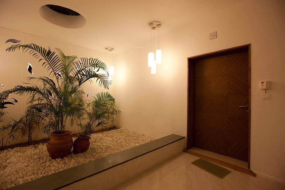 pahel Images for Main Other of Venus Venus Pahel