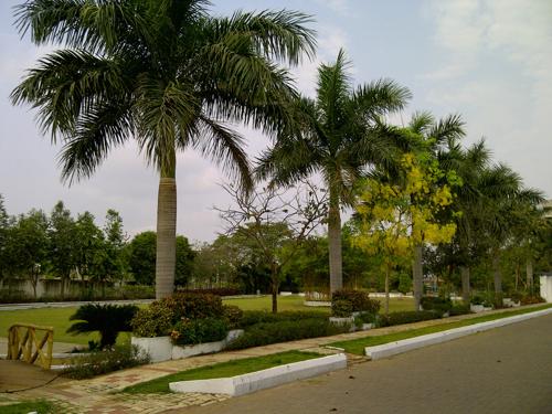 green-city-homes Landscaped Gardens