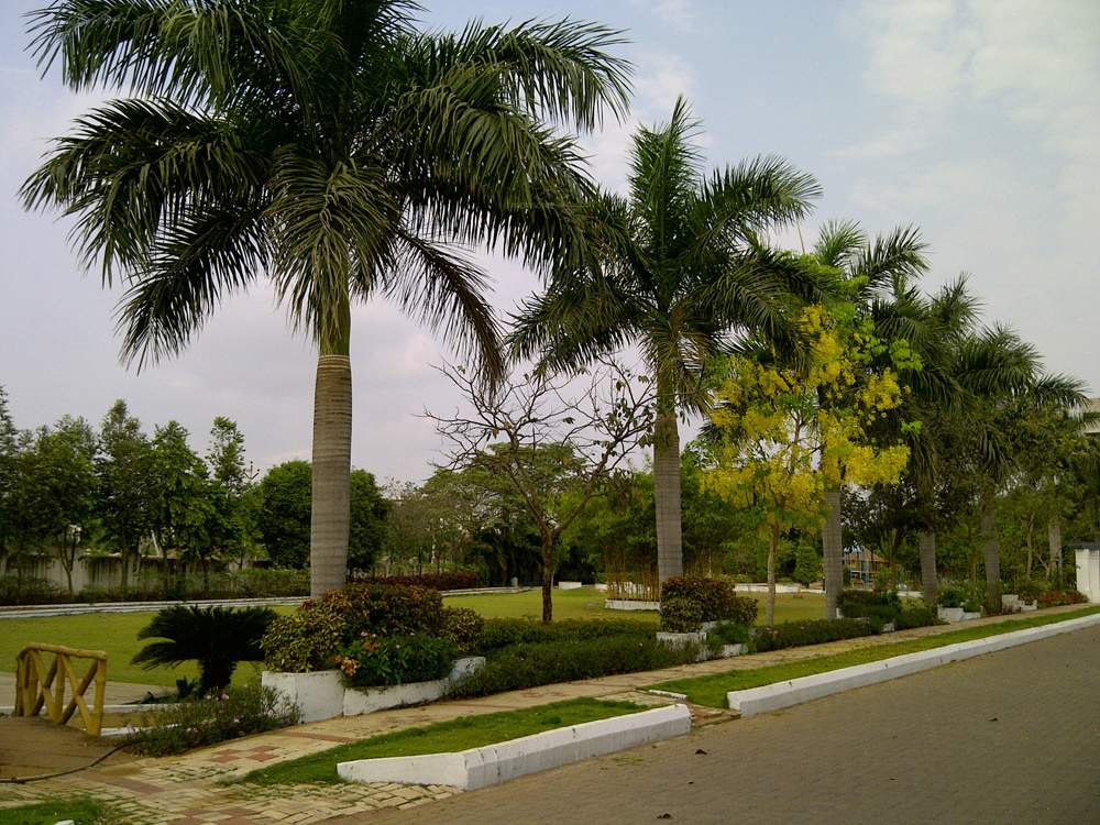  green city homes Landscaped Gardens