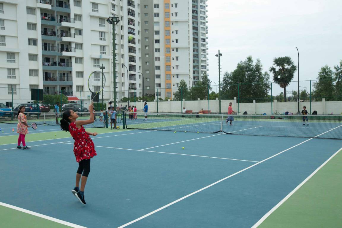  opaline sequel Elevation