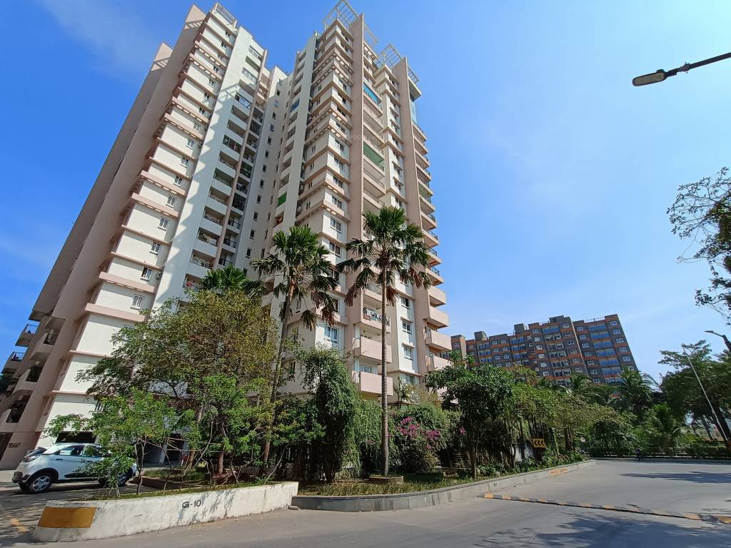  opaline sequel Elevation