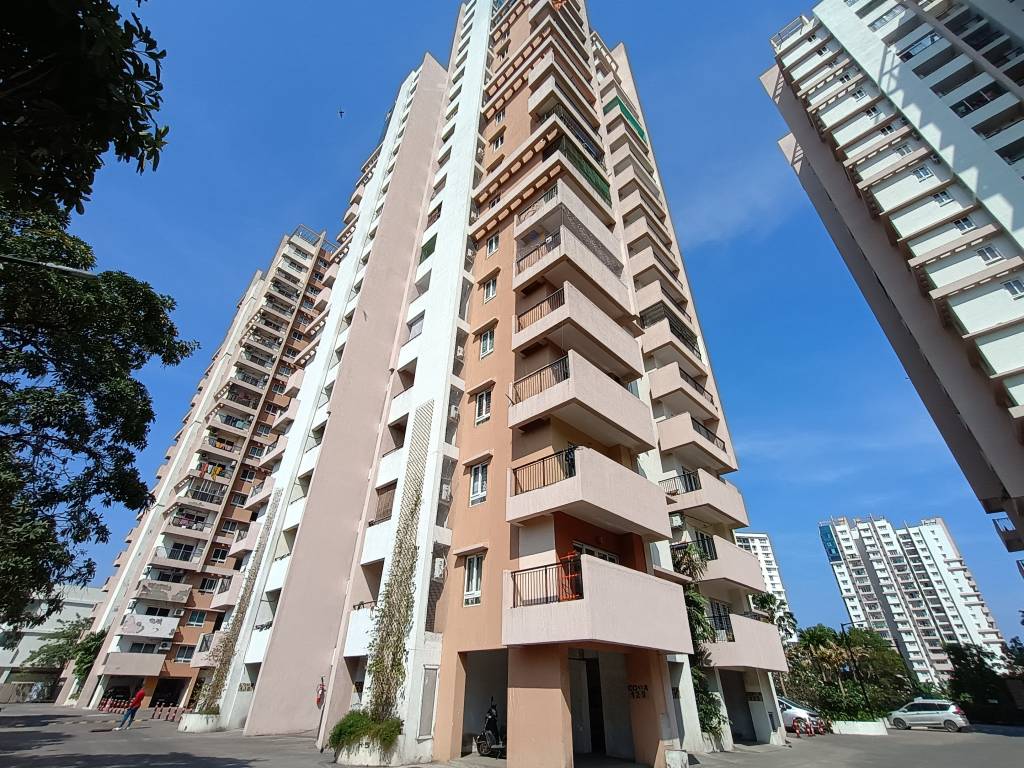  opaline sequel Elevation