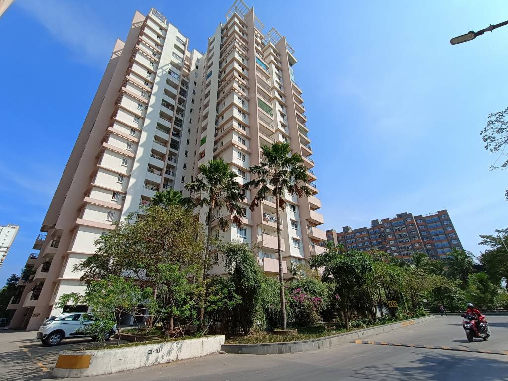  opaline sequel Elevation