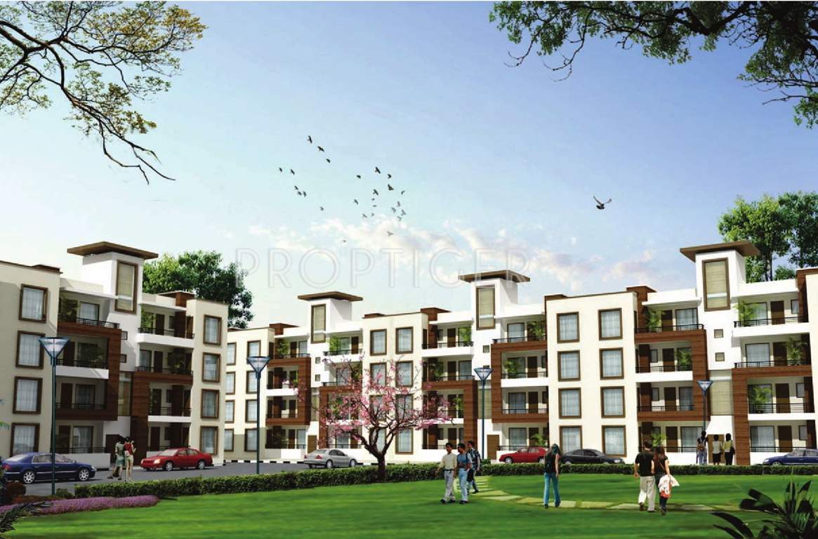  amayra greens Images for Elevation of Omni Amayra Greens