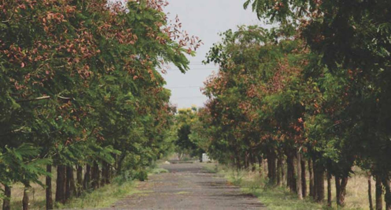 Images for Main Other of Altis Sri Gayathri Doctors Nest