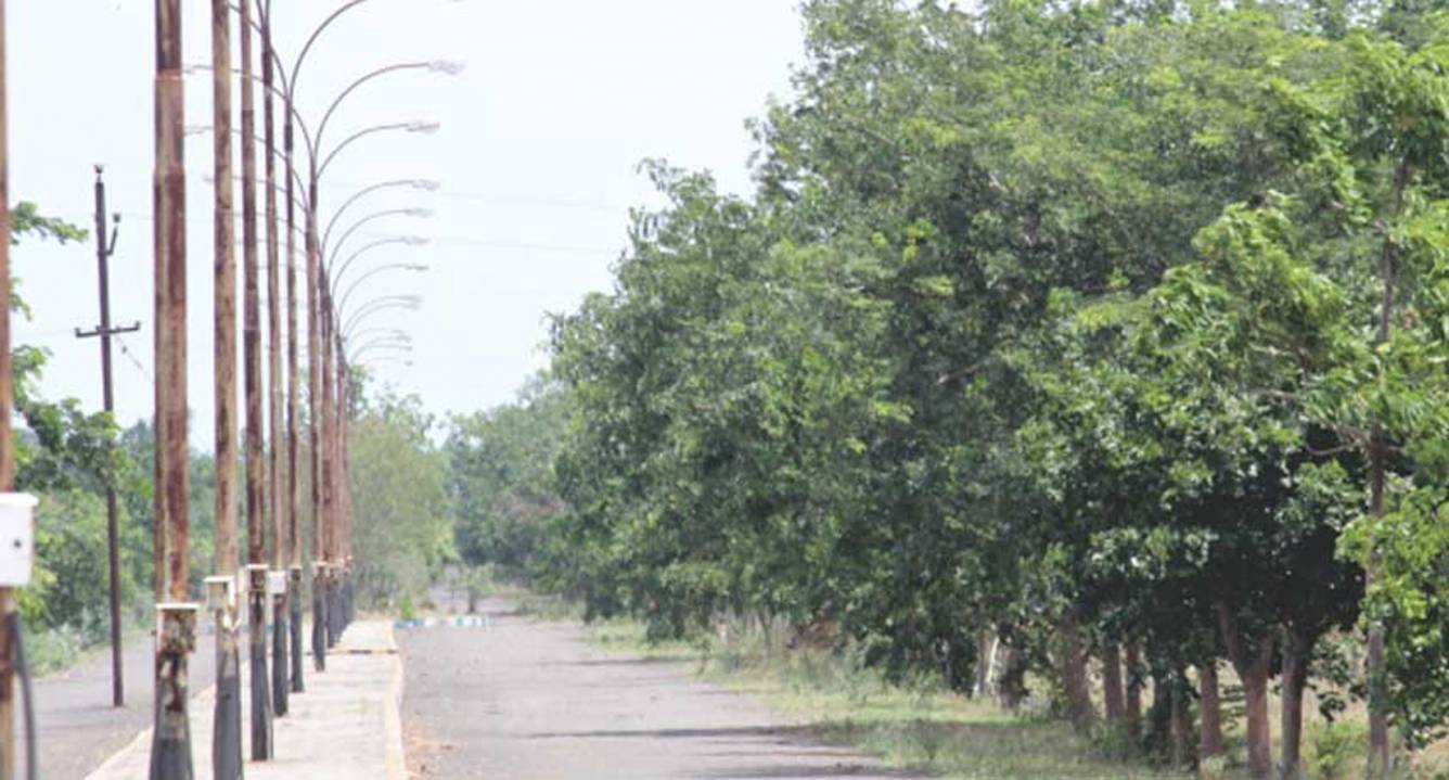 Images for Main Other of Altis Sri Gayathri Doctors Nest