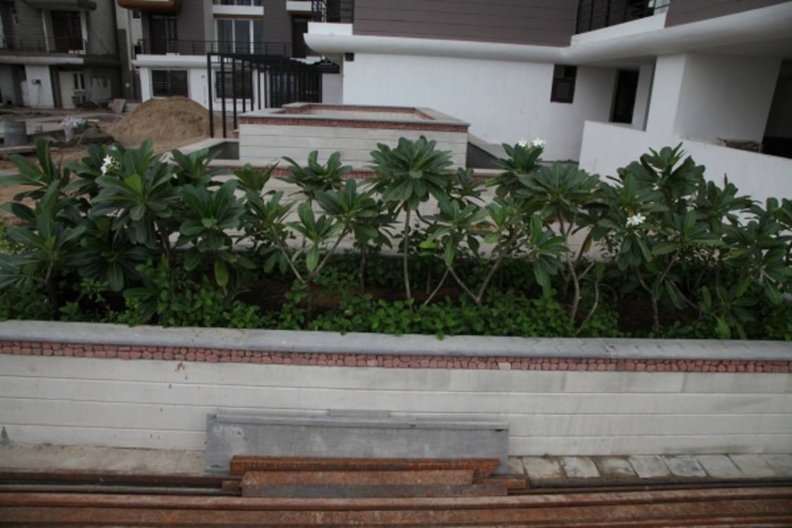 Images for Amenities of Okay Plus Venus