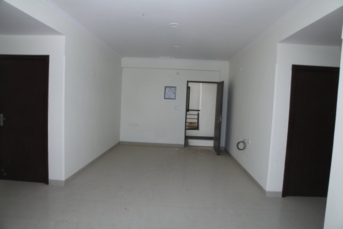 Images for Main Other of Okay Plus Venus