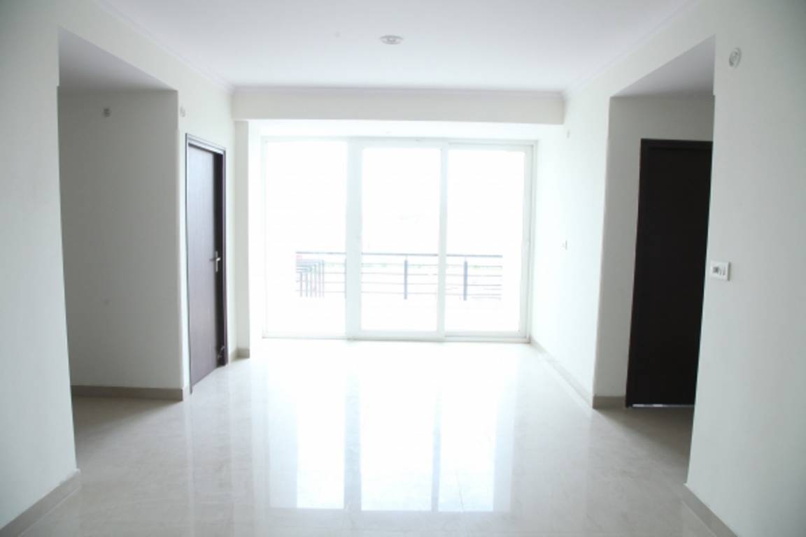 Images for Main Other of Okay Plus Venus