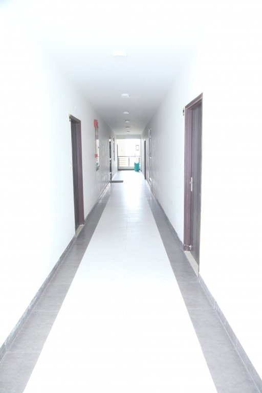 Images for Main Other of Okay Plus Venus