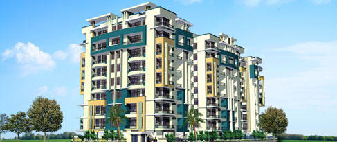  pearl-springs Elevation