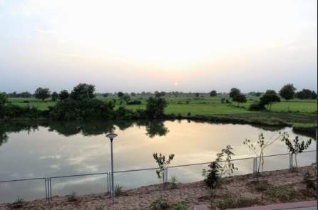  serenity pastures Elevation