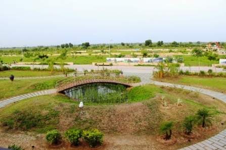  serenity pastures Elevation