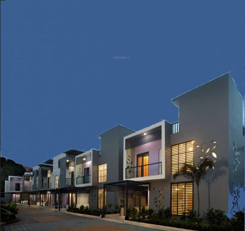 Images for Elevation of Nucleus Lavender