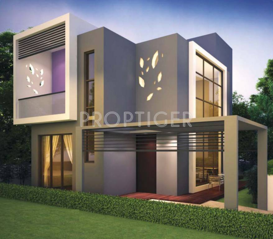 Images for Elevation of Nucleus Lavender