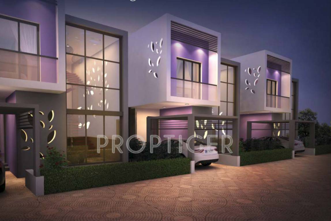 Images for Elevation of Nucleus Lavender