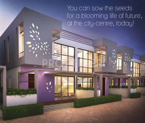 Images for Elevation of Nucleus Lavender Images for Elevation of Nucleus Lavender