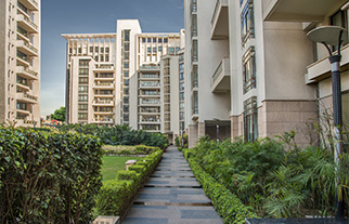 hibiscus new villas Elevation