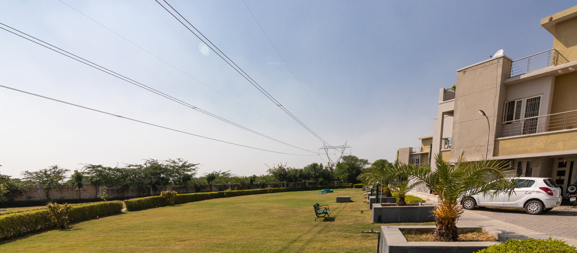  kopal Landscape Garden and Tree Planting