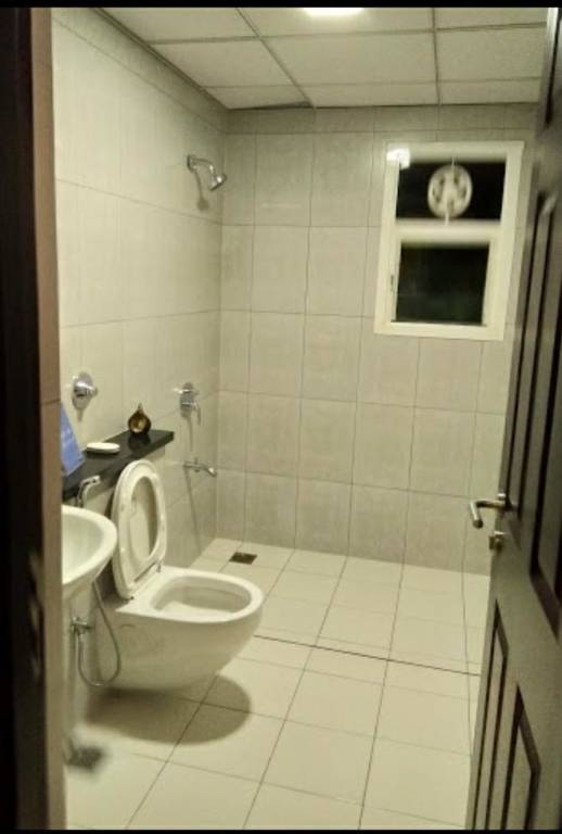 Images for mainOther