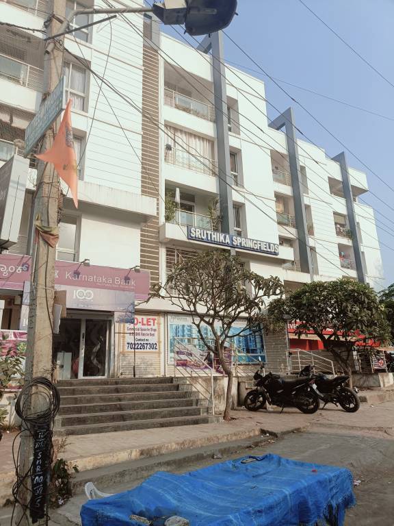 springfields Elevation