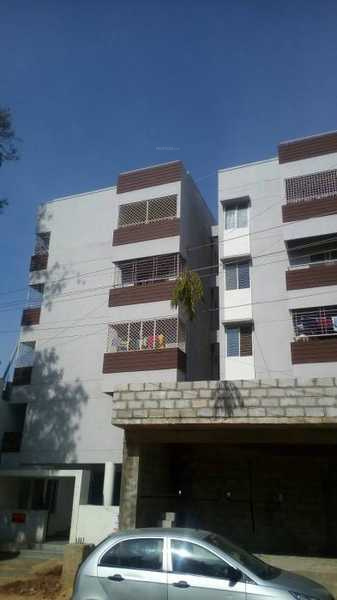 Elevation peepal-tree Elevation