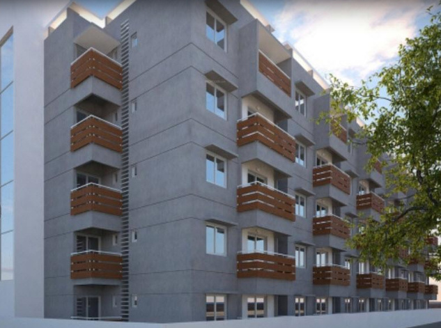 peepal tree Elevation