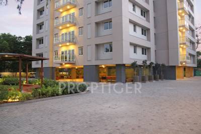  612-elevate Images for Elevation of Amaya 612 Elevate