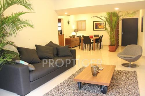 Images for Main Other of Amaya 612 Elevate 612-elevate Images for Main Other of Amaya 612 Elevate