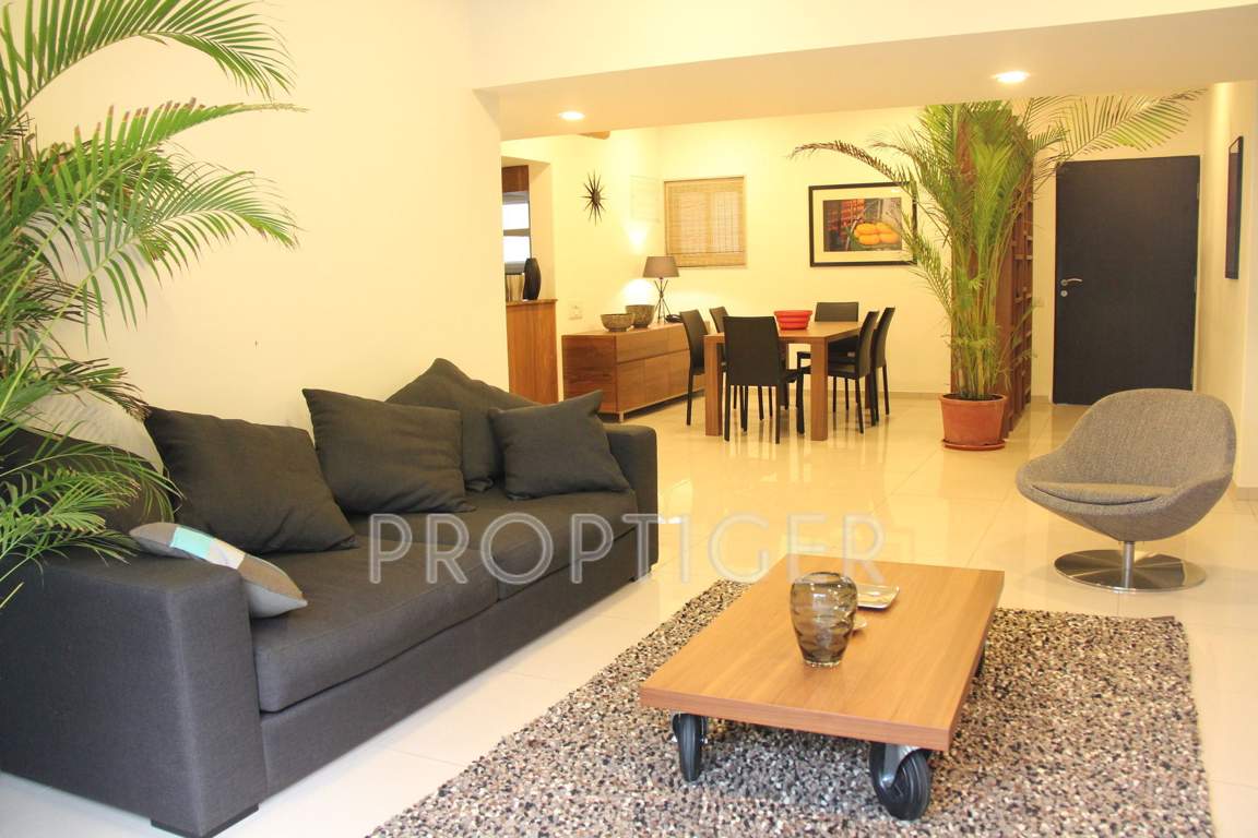 612 elevate Images for Main Other of Amaya 612 Elevate