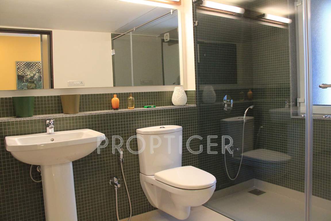 612 elevate Images for Main Other of Amaya 612 Elevate