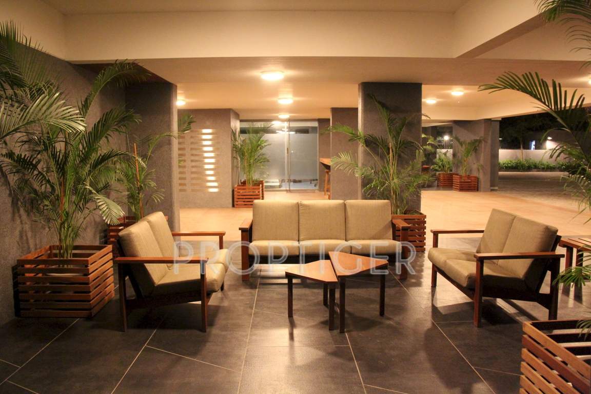 612 elevate Images for Main Other of Amaya 612 Elevate