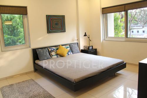 Images for Main Other of Amaya 612 Elevate 612-elevate Images for Main Other of Amaya 612 Elevate